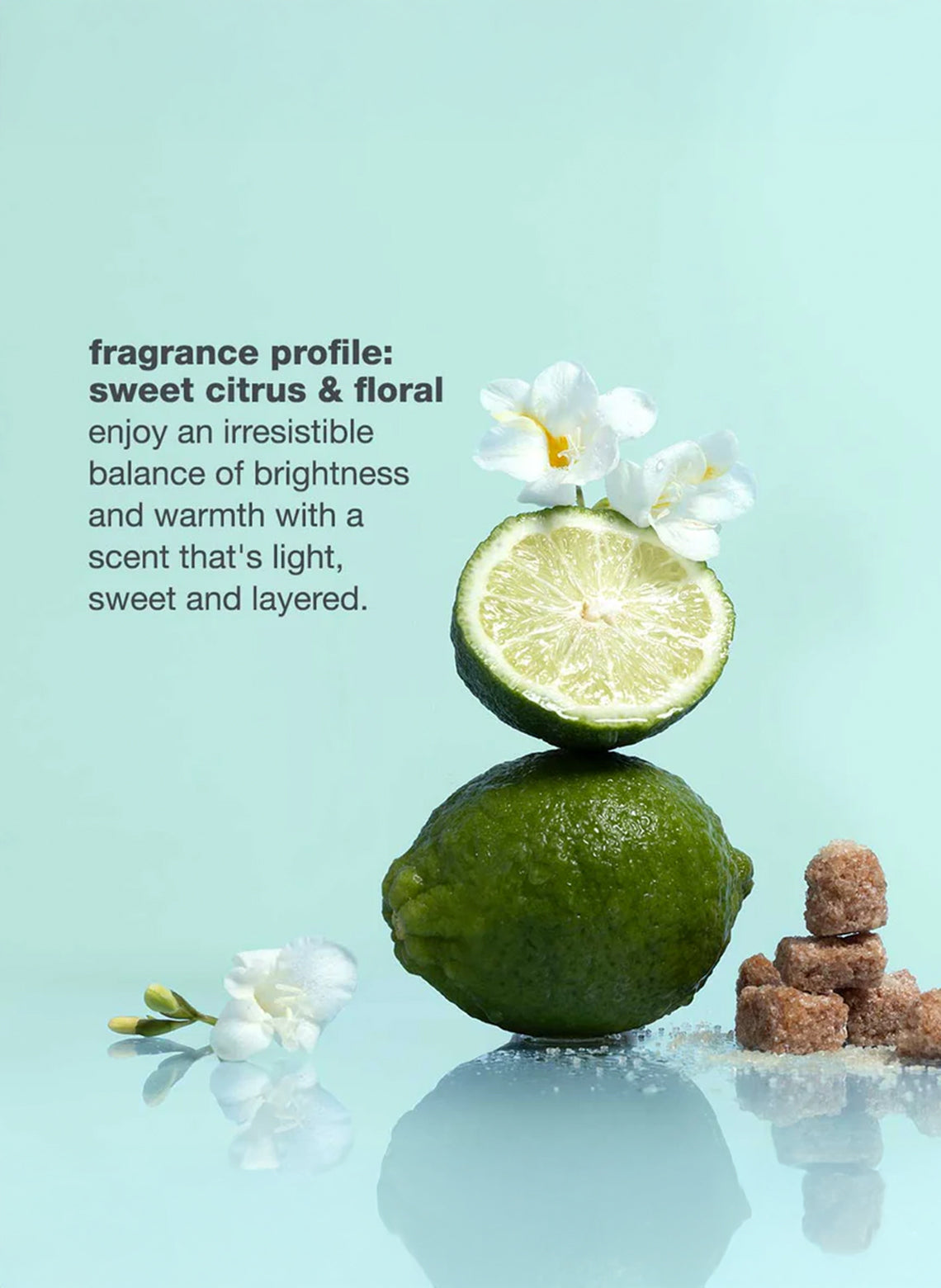 Volume Solution Bundle - Aretha Natural Beauty