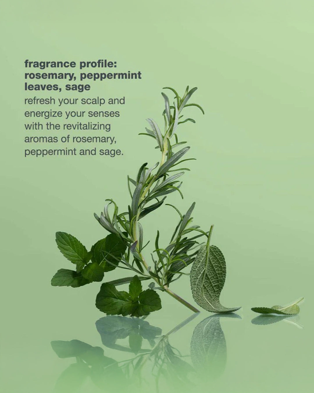 Scalp Care Bundle - Aretha Natural Beauty