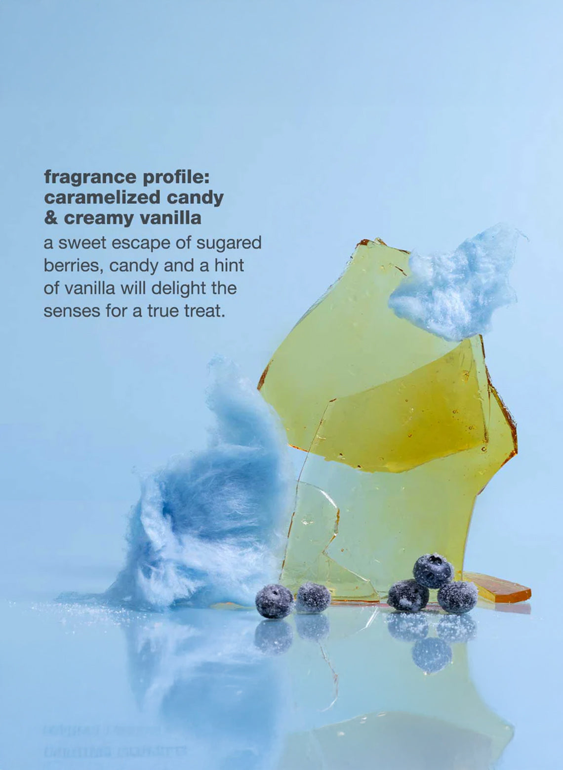 cold brunette shampoo 300ml