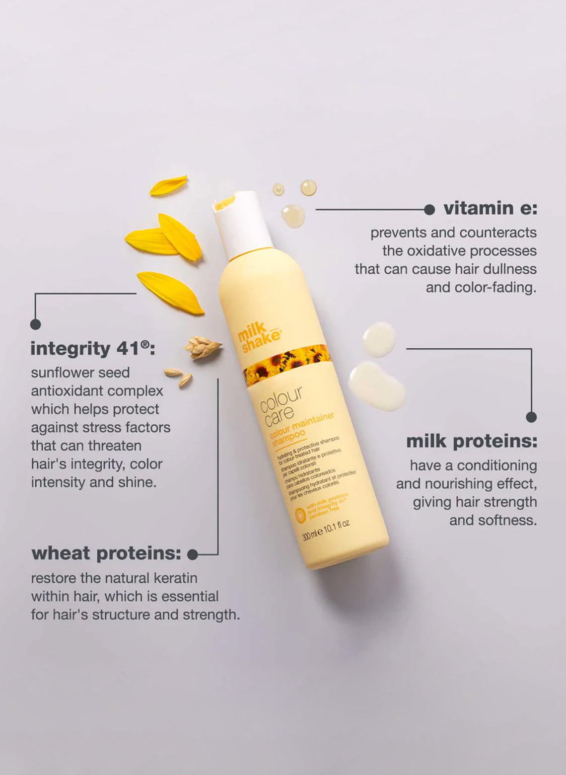 colour maintainer shampoo