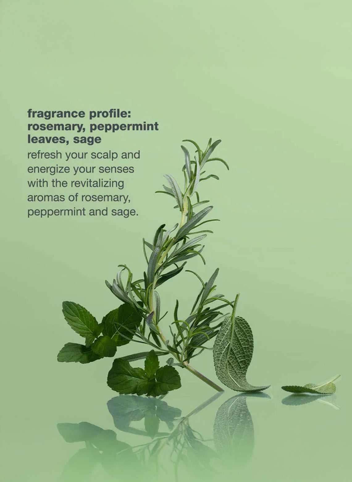 energizing blend shampoo 300ml - Aretha Natural Beauty