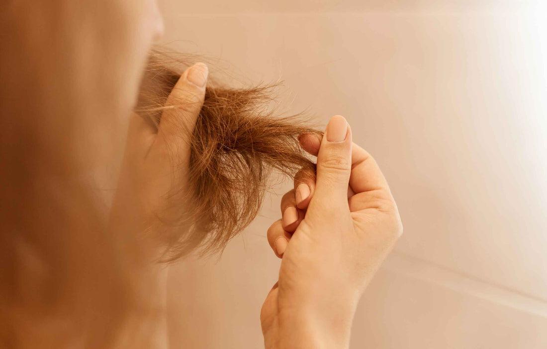 The best way to treat damaged hair