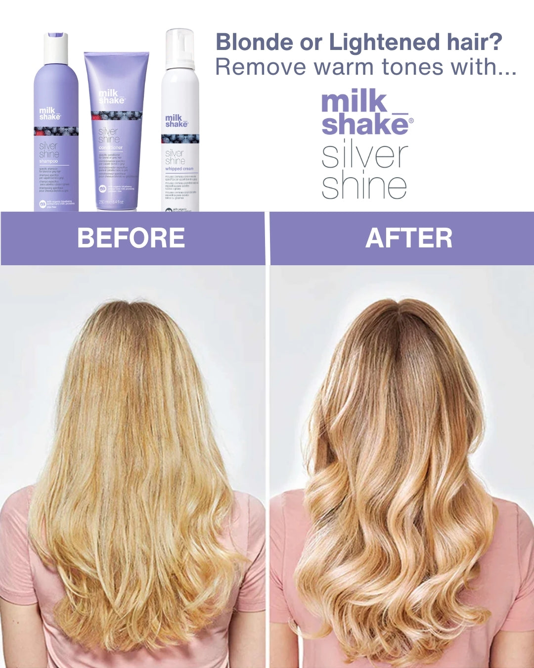 Silver Shine Bundle - Aretha Natural Beauty 