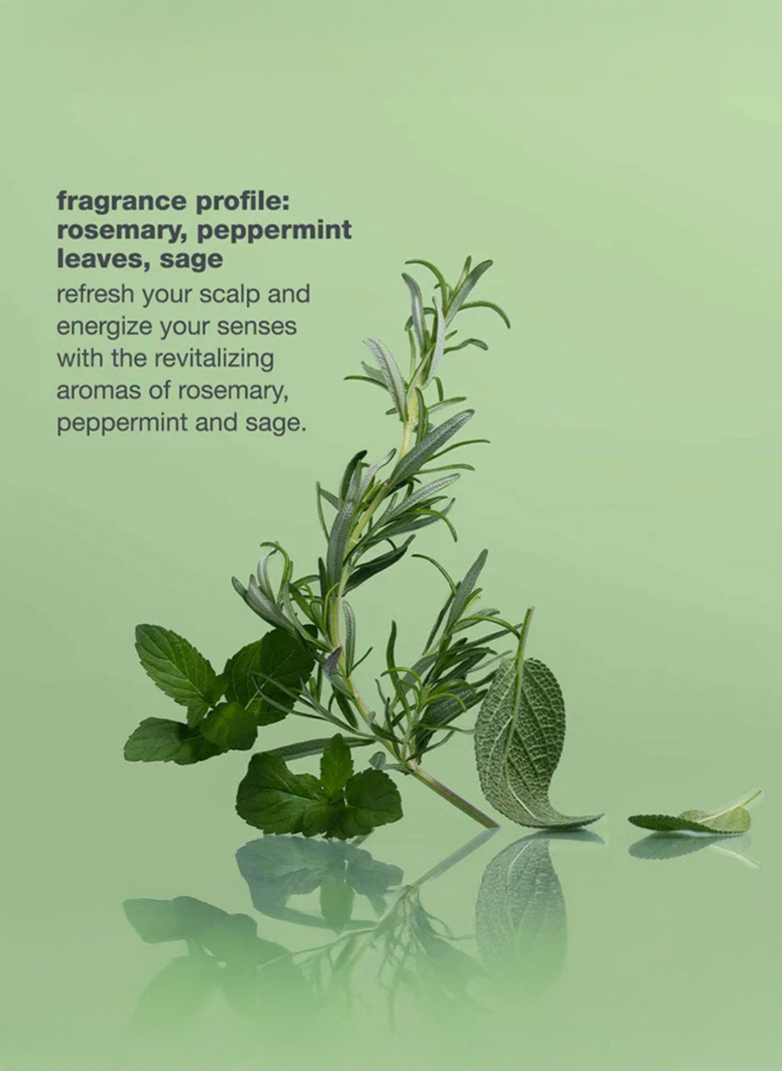 Scalp Energizing Treatment System™