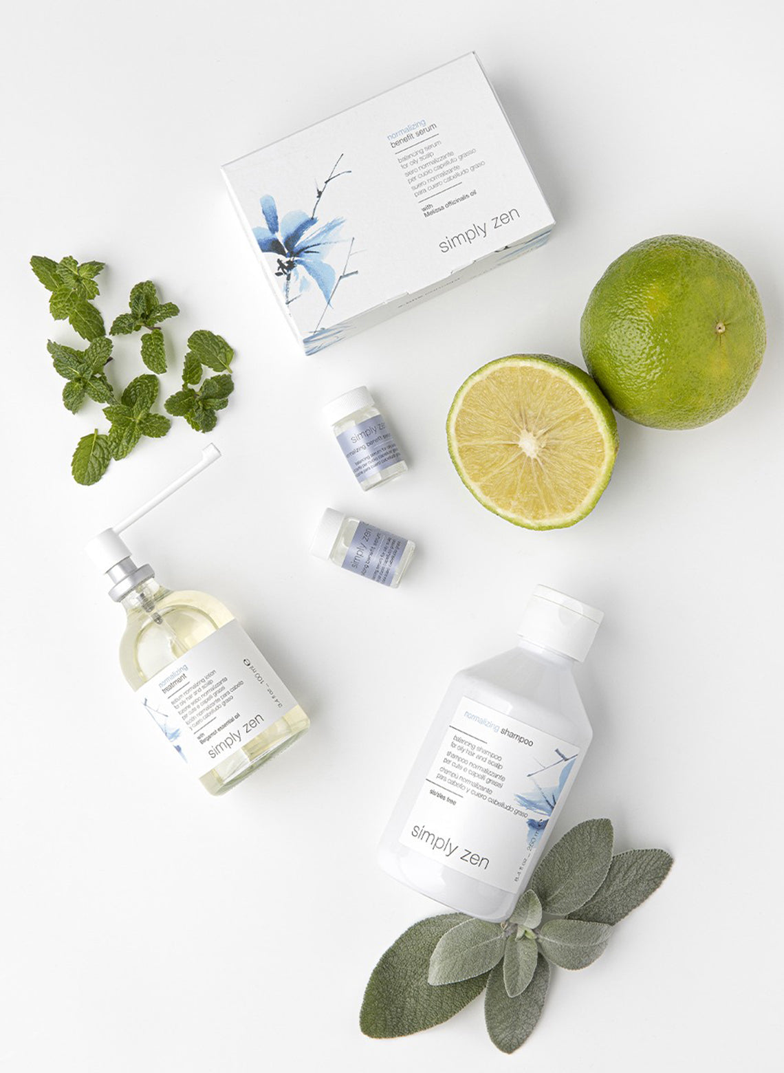 simply zen normalizing shampoo 250ml