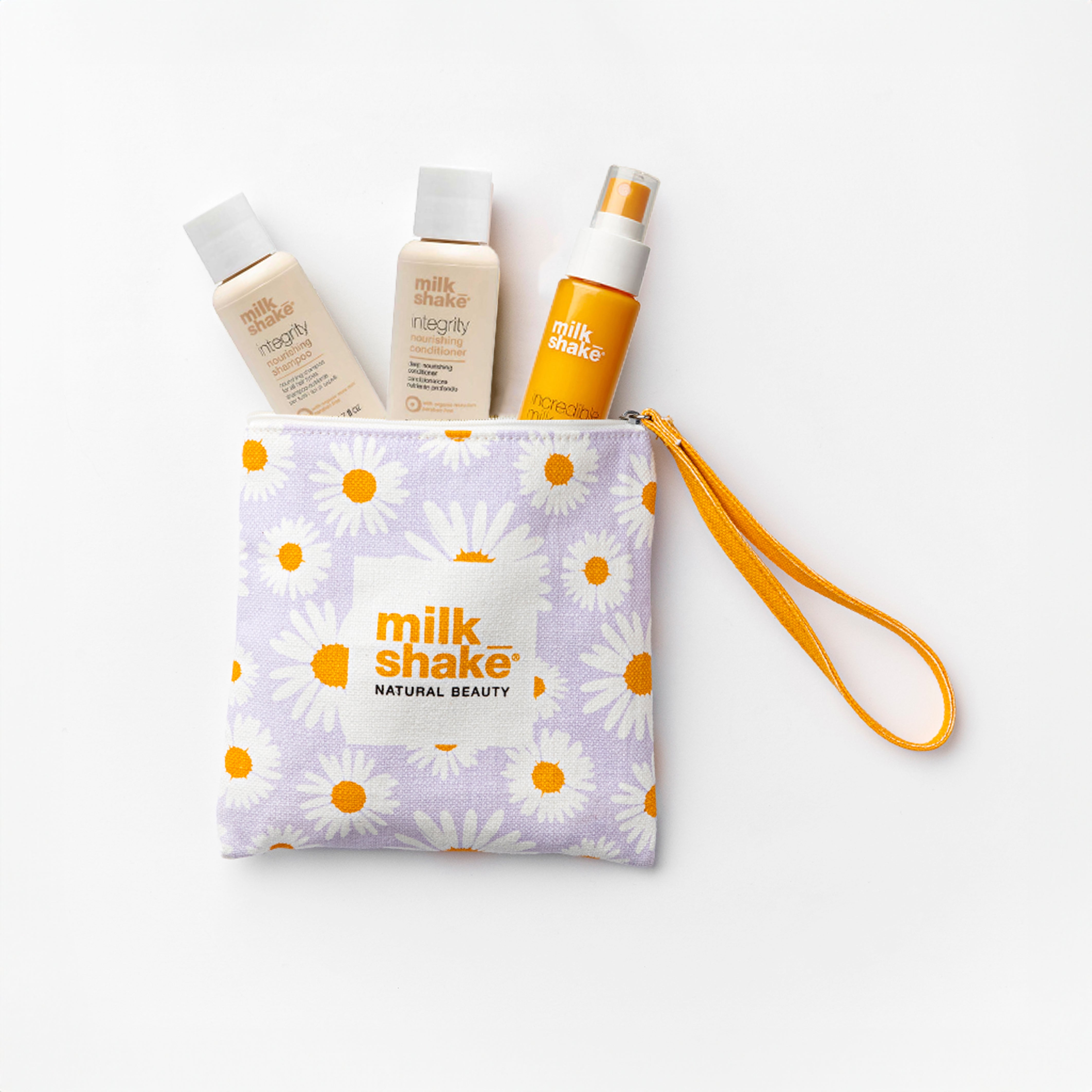 Dull / Damaged Hair Mini Set