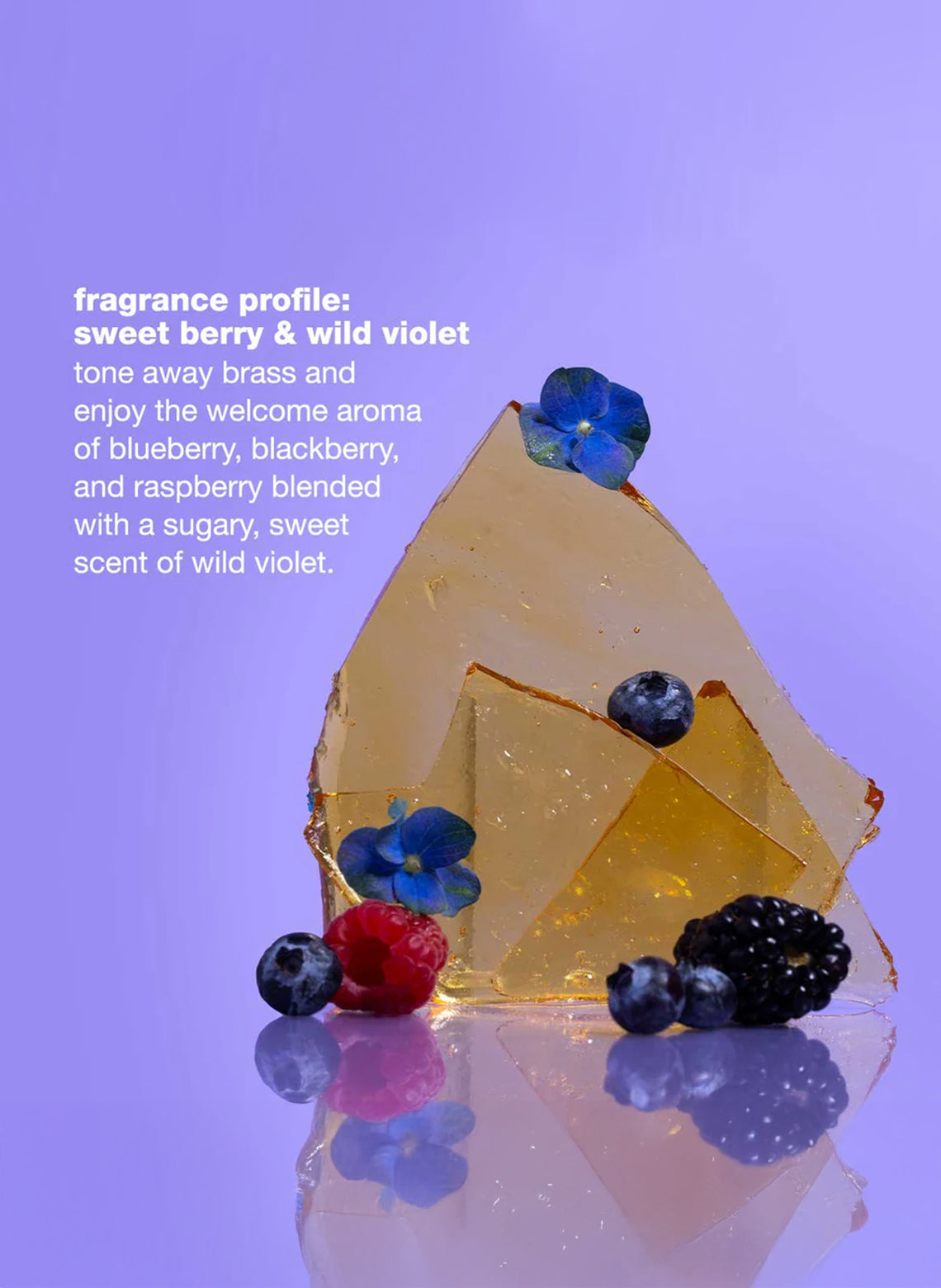 silver shine conditioner 250ml